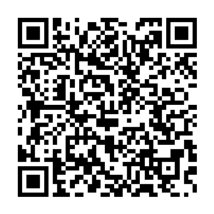 如果我没猜错的话你应该修炼了某种秘法隐匿了自己的真实境界吧二维码生成