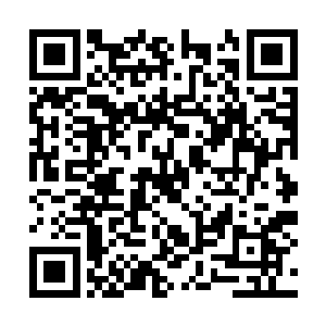 如果我能出全力……你们俩在我面前连十秒都……二维码生成