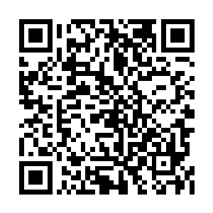 如果我说我希望成为青年城投资项目的最大股东二维码生成