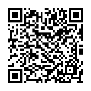 如果找不到还得让土著们帮他收集材料重新制作二维码生成