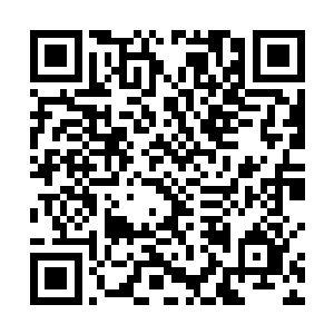 如果拉达她们可以看到洪涛一直随身携带的那个小本子二维码生成