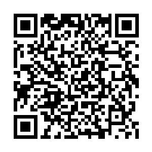 如果按部就班还得熬好几年资历才能升龙虎将军二维码生成