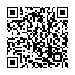 如果换做其他人恐怕早就和黑龙海贼团打成一片二维码生成