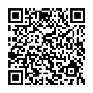 如果换做是天霜城内城的修士看到此时的张潇晗二维码生成