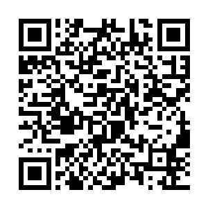 如果撰写这些狗屁评论文章的狗屁专家出现在我面前二维码生成