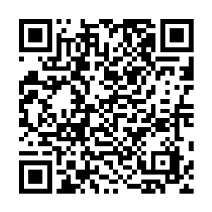如果放着不管估计没今天这些野鸡连活动的空间都没有了二维码生成