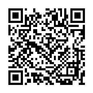 如果是一个人仙期的修士吞服了一缕罗天上仙气二维码生成