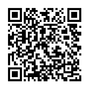 如果是一对一的话楚旬等人或许还有不小的胜算二维码生成