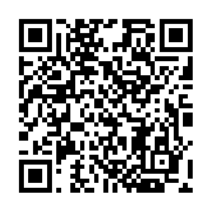 如果是一般的神海强者在这里正面面对这只神兽的巨吼二维码生成