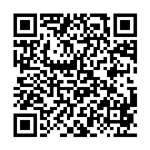 如果是万雪这种群域底蕴或者魔宫出身什么的还好说二维码生成