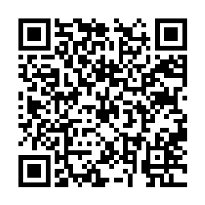 如果是个爱惜包的人是绝对干不出来这样的事情的二维码生成