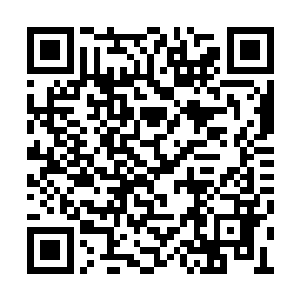 如果是元婴老怪和化神老怪度身定制的专属晶铠二维码生成