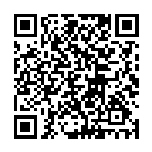 如果是出自私心――你认为谁更适合做我燕子坞的先生二维码生成