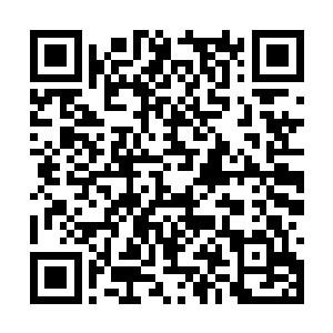 如果是别人看到兔子出现这种情况根本不会当回事二维码生成