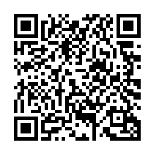 如果是因无法感应到底是何种法则而不能提升感悟境界二维码生成