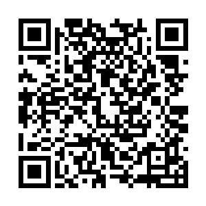 如果是招商引资能引来愿意投资建宾馆的投资商么二维码生成