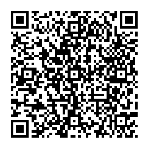 如果是融合了七宗罪所有人力量的愤怒或许还能破开他那燃烧了自身四分之一力量所制造出来的封印二维码生成