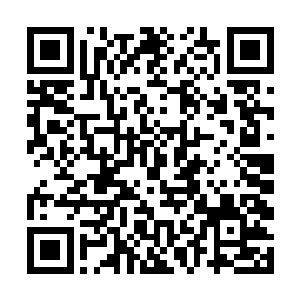 如果是西蒙在的话肯定会跟摩根和高扬他们一起出去二维码生成
