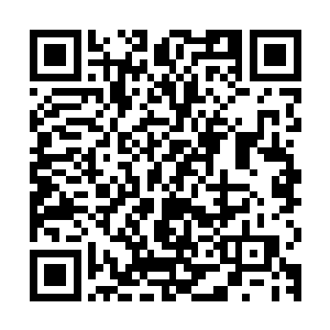 如果是这个世界的白兰的话……这种连妮娜都骗不过的悬疑段子二维码生成