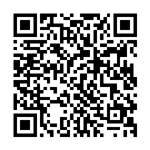 如果最后争夺第一的两个修士是独步和落阳两个上元盟的弟子二维码生成