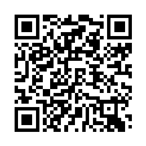 如果有人想超越我们的tz01蕴含的芯片技术二维码生成