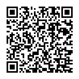 如果有参与这次行动的骑士在这个过程之中与其他骑士发生冲突被杀二维码生成