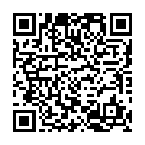 如果有可能的话我真相带着全家去哈德斯王宫试一下手气二维码生成