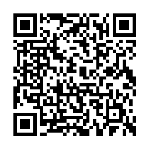 如果有谁在比试当中突然偷偷地去得到莲花传承二维码生成