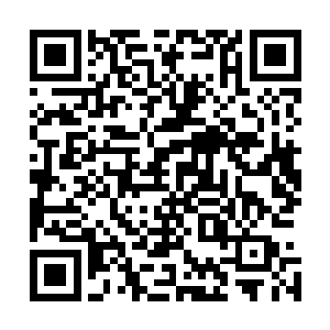 如果杨风炼制三颗十级的古血丹能够造就两头超级魂兽的话二维码生成