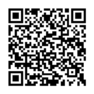 如果林放和亚瑟真的有很大的原则性的冲突的话二维码生成