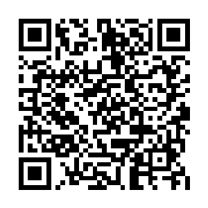 如果林烽手上的那一串珍珠手链真的是上古法器二维码生成