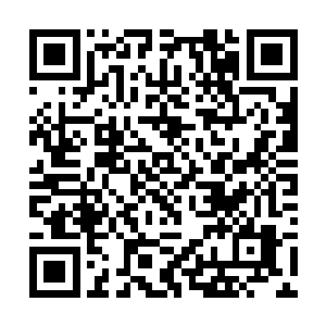 如果林辰能够很清楚的从对方体内察觉到人类的气息二维码生成