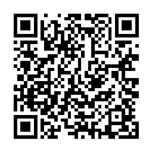 如果某个大陆能够交好暴雷阁并得到暴雷阁的鼎立支持的话二维码生成