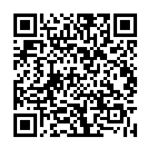 如果某个家族一口气圈养十万甚至数十万护卫大军二维码生成