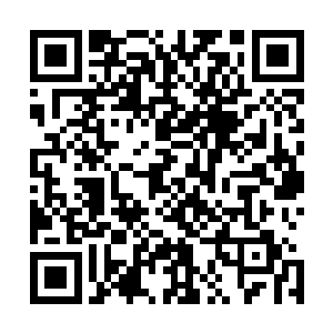 如果欢喜哥每次只要一和安妮发生更加亲密的举动总会出事二维码生成