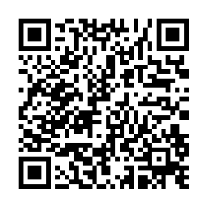 如果正好那高手的朋友只比弱者高一个小境界的话二维码生成