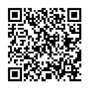 如果此时这些百族修士知道那阵灵之主已经在燕山魂的手里二维码生成