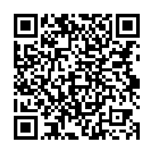 如果母亲大人知道有人说她腌制的乡野咸菜是佳肴的话二维码生成