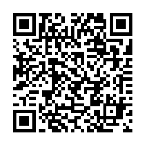 如果每个人都因为自己的实力强大就不遵守规矩的话二维码生成