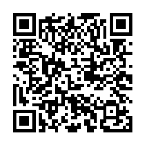 如果江院长这一刀切垮的话……那我也不要你别的东西二维码生成