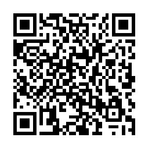 如果汤姆选择了卡尔一厄尔这样默默无名的小经纪人二维码生成