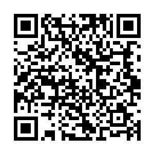 如果沙小凡真的能够完全将杀气和五属性灵根融合二维码生成