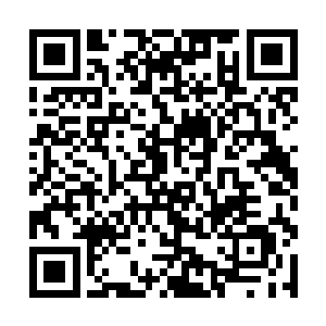 如果没有……可是他一想到她冰冷不带丝毫感情的脸二维码生成