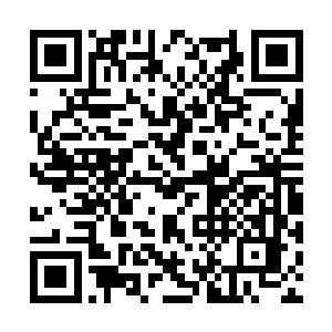 如果没有了苏小爱……自己的生活会变成什么样子二维码生成