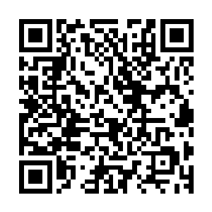 如果没有他爸爸吴锦天正可以到地铁口弹他善长的吉它去卖唱二维码生成