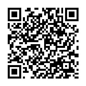 如果没有突然出了青羽族的事情也许明天还能出去正常的打猎二维码生成