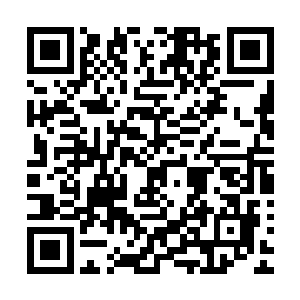 如果没有维尼利用泥土傀儡为白河谷地四周围的防御打下基础二维码生成