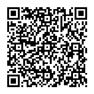 如果没有莫小念帮自己拍下这块地的话帧及还需要一段时间才能够找到合适的绿色生态用地二维码生成