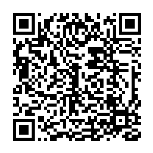 如果没有长时间在水下和天空之中锻炼出来的对气流和压力的敏感二维码生成