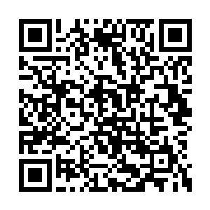 如果没有魂劫之境中那些魔族和魔兽一次次战斗二维码生成